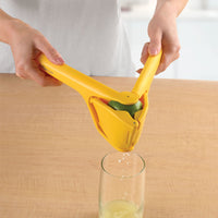 Exprim Fold