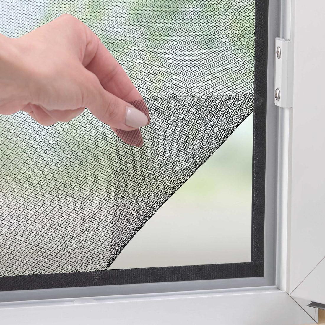 Mosquitero Ventana Black